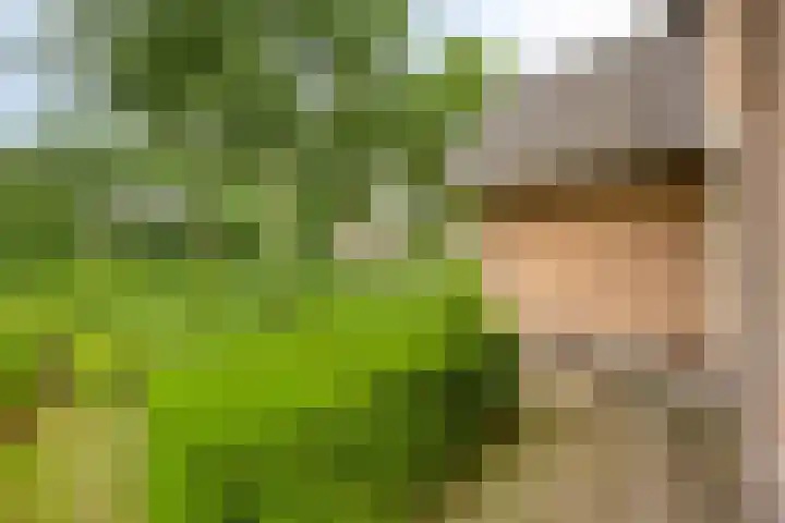 Koele 5 Appelscha thumbnail 36