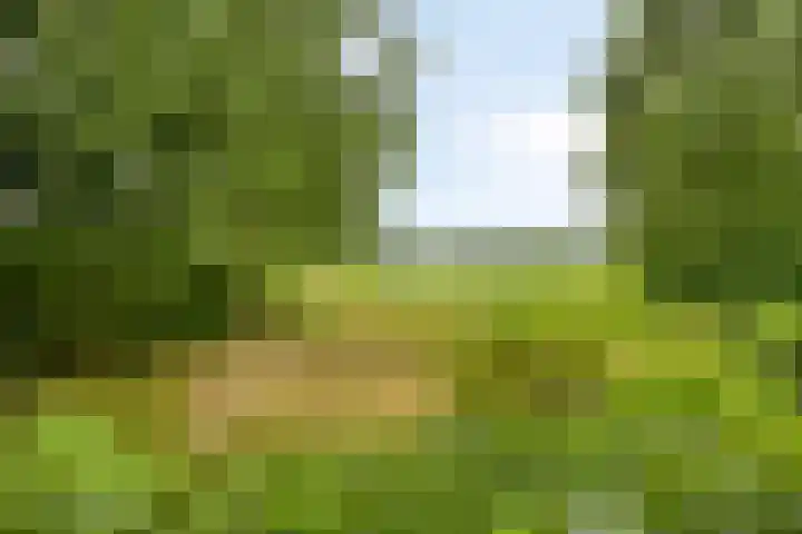 Koele 5 Appelscha thumbnail 38