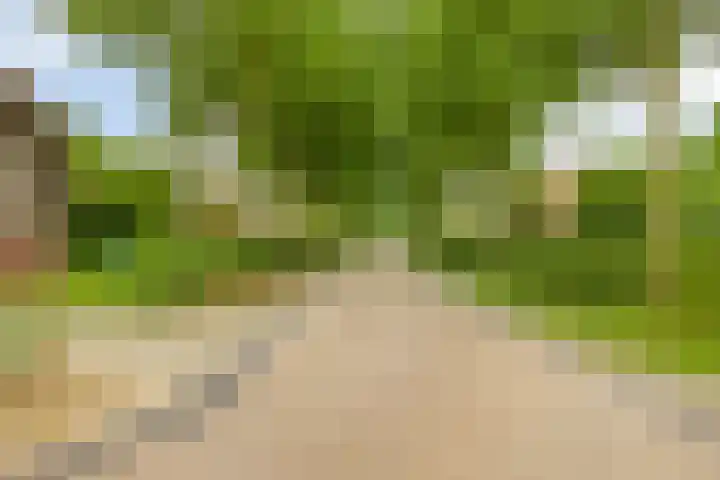 Koele 5 Appelscha thumbnail 40