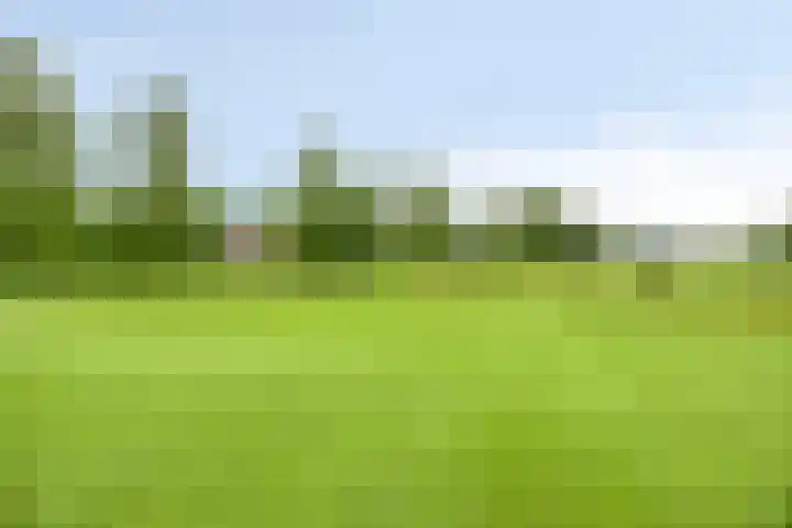 Koele 5 Appelscha thumbnail 41