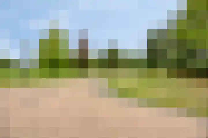 Koele 5 Appelscha thumbnail 42