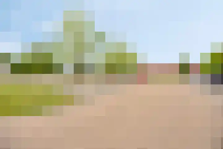 Koele 5 Appelscha thumbnail 43