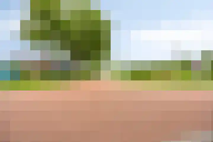 Koele 5 Appelscha thumbnail 44