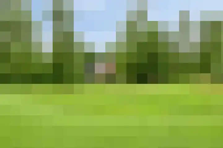 Koele 5 Appelscha thumbnail 6