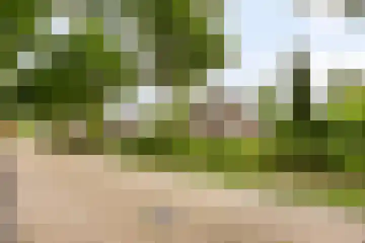 Koele 5 Appelscha thumbnail 7