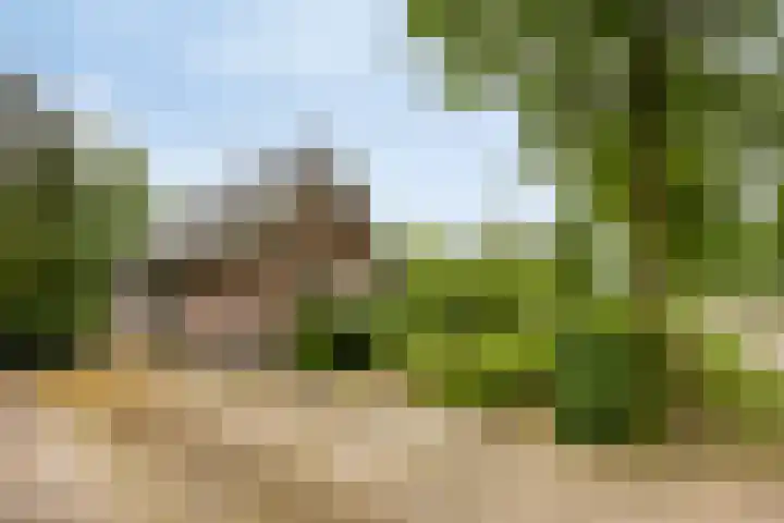 Koele 5 Appelscha thumbnail 8