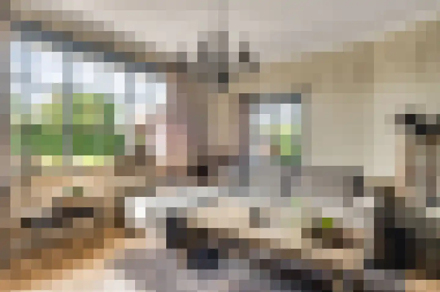 Koelebeemdweg 20 Weert thumbnail 14