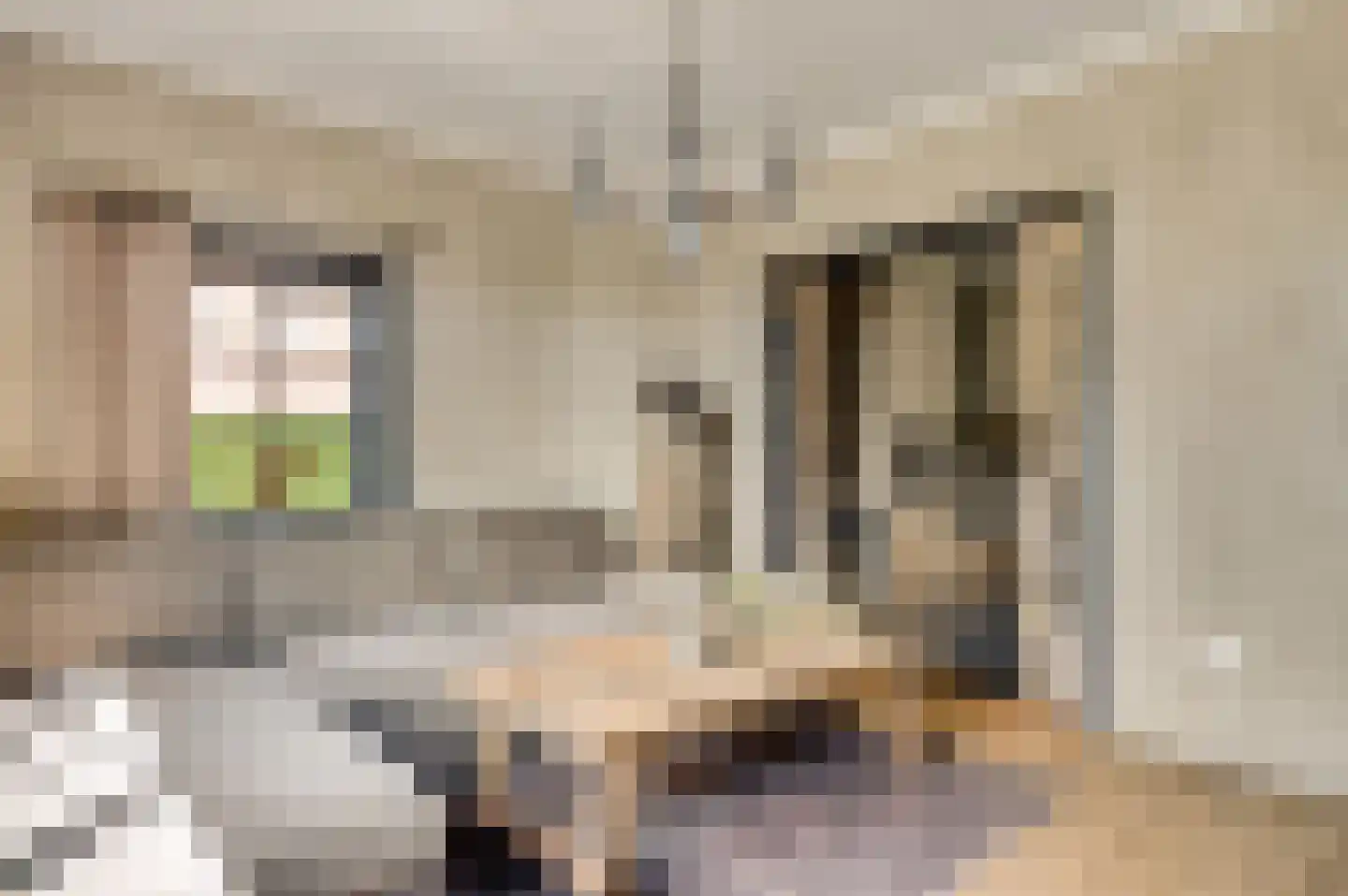 Koelebeemdweg 20 Weert thumbnail 15
