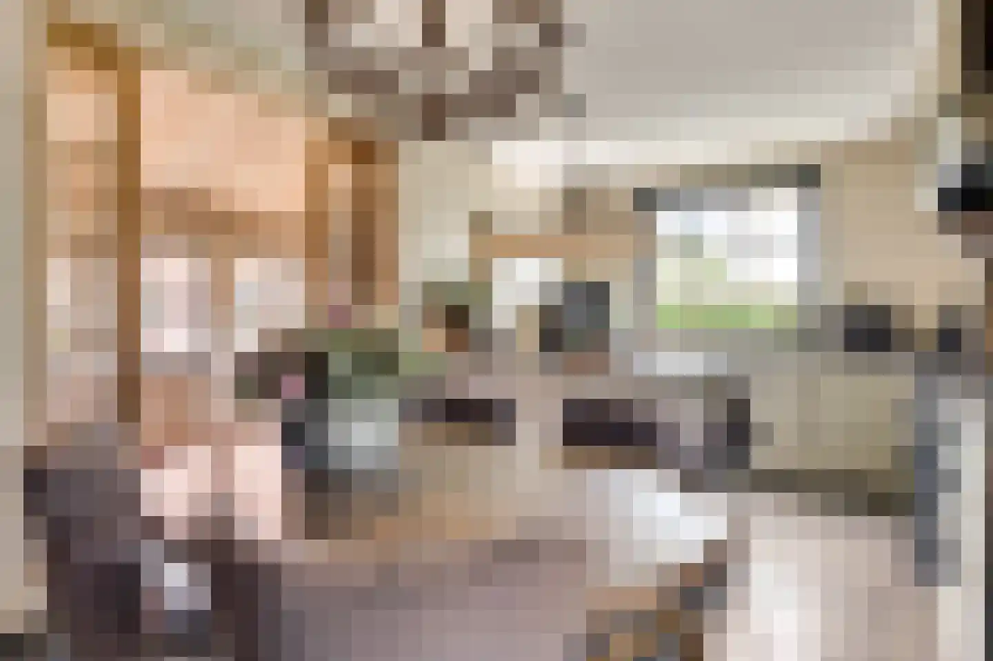 Koelebeemdweg 20 Weert thumbnail 17