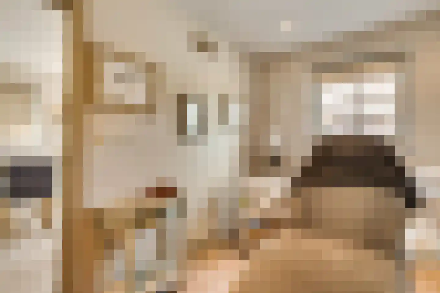 Koelebeemdweg 20 Weert thumbnail 25