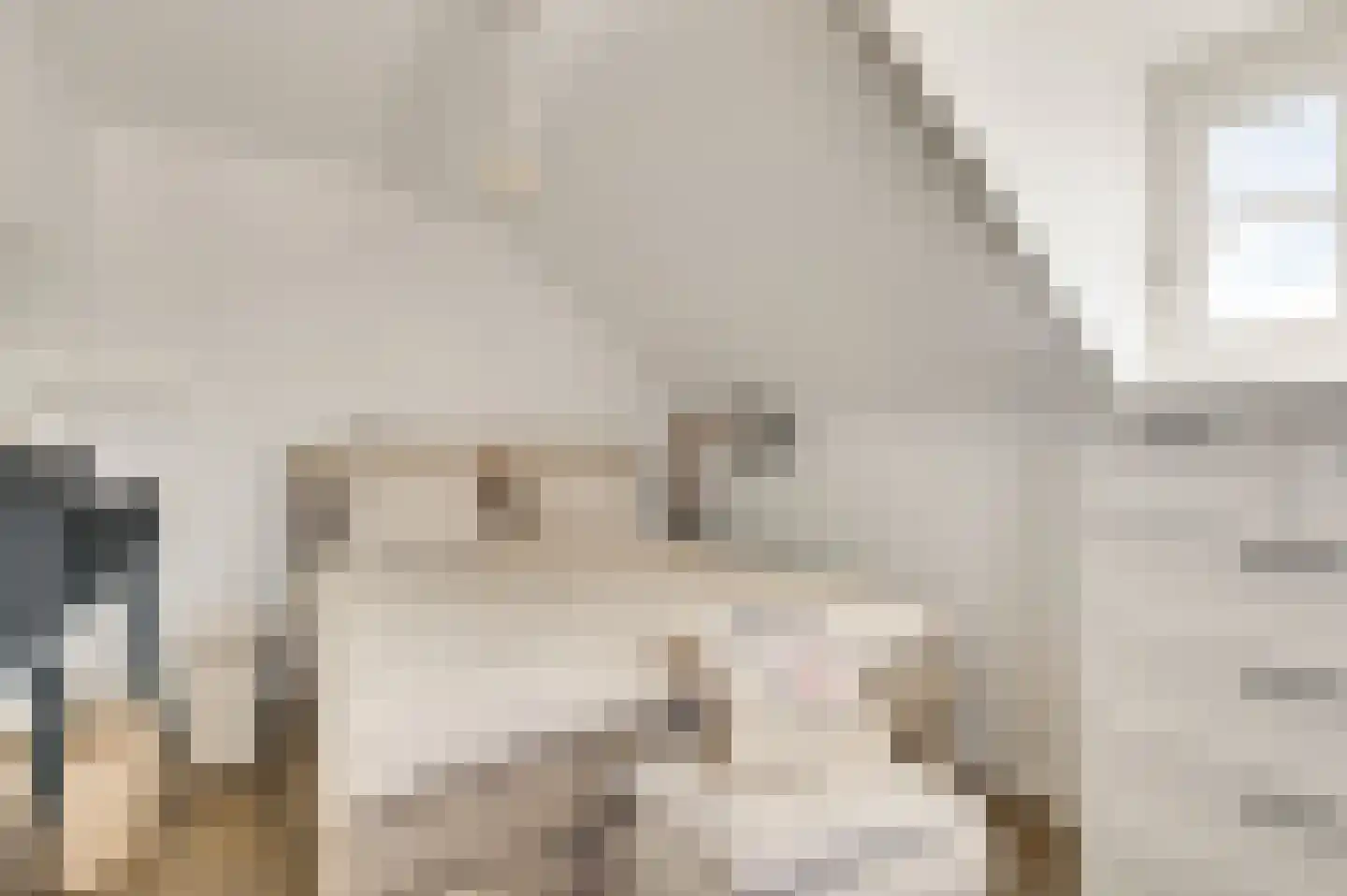 Koelebeemdweg 20 Weert thumbnail 31