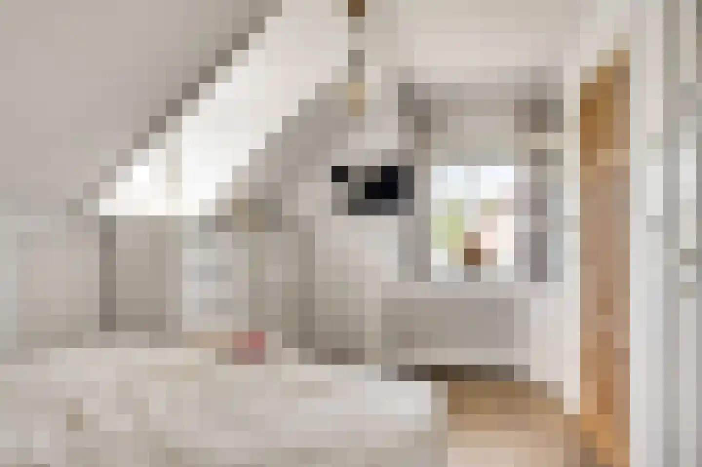 Koelebeemdweg 20 Weert thumbnail 32