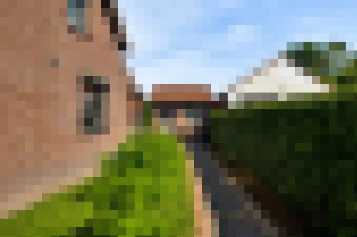 Koelebeemdweg 20 Weert thumbnail 40