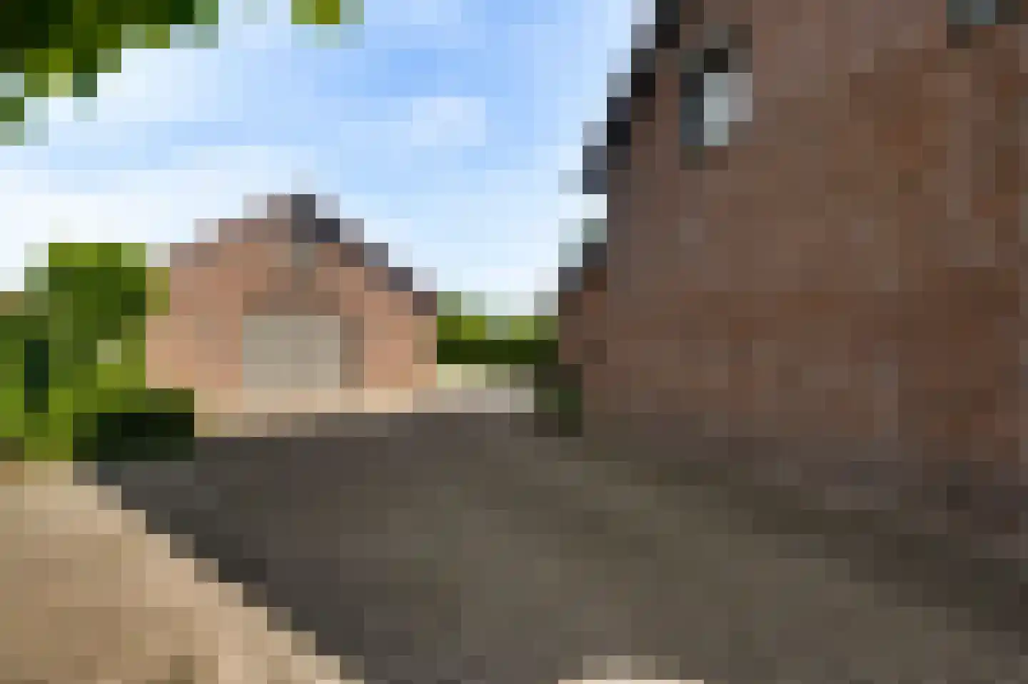 Koelebeemdweg 20 Weert thumbnail 43