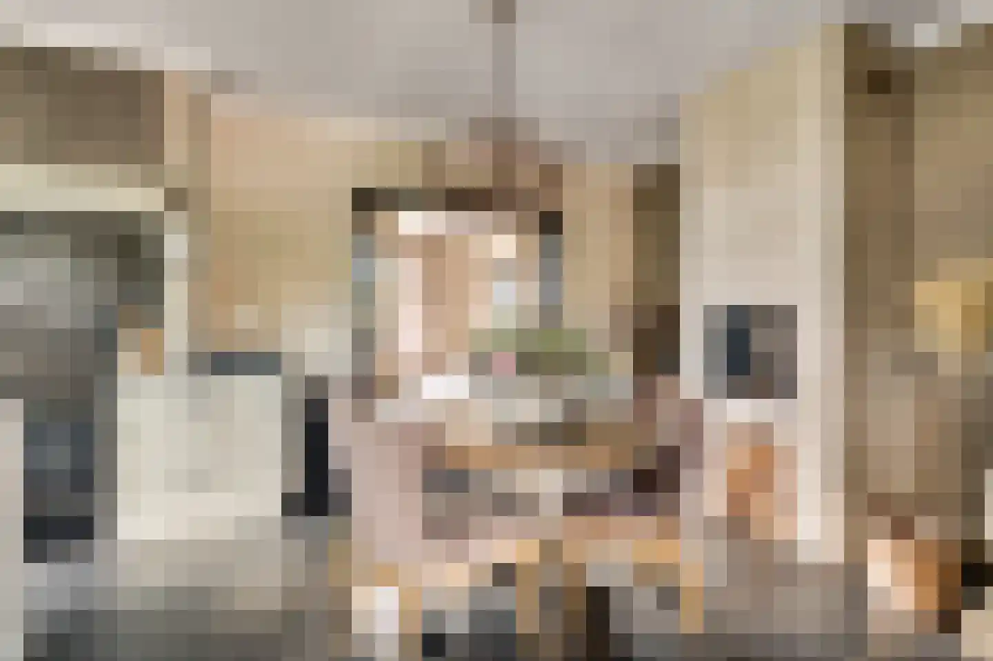 Koelebeemdweg 20 Weert thumbnail 5