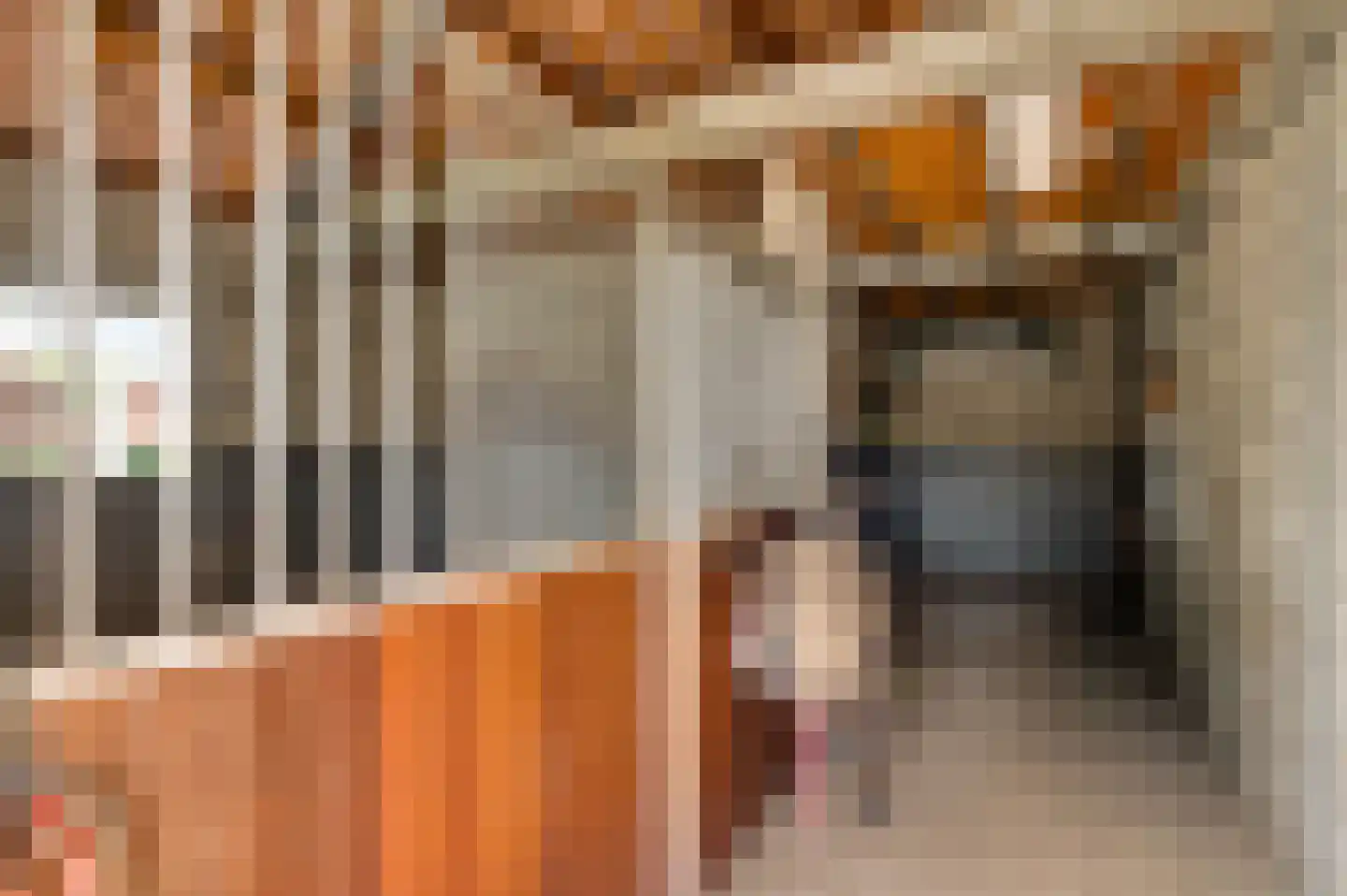 Koelebeemdweg 20 Weert thumbnail 52