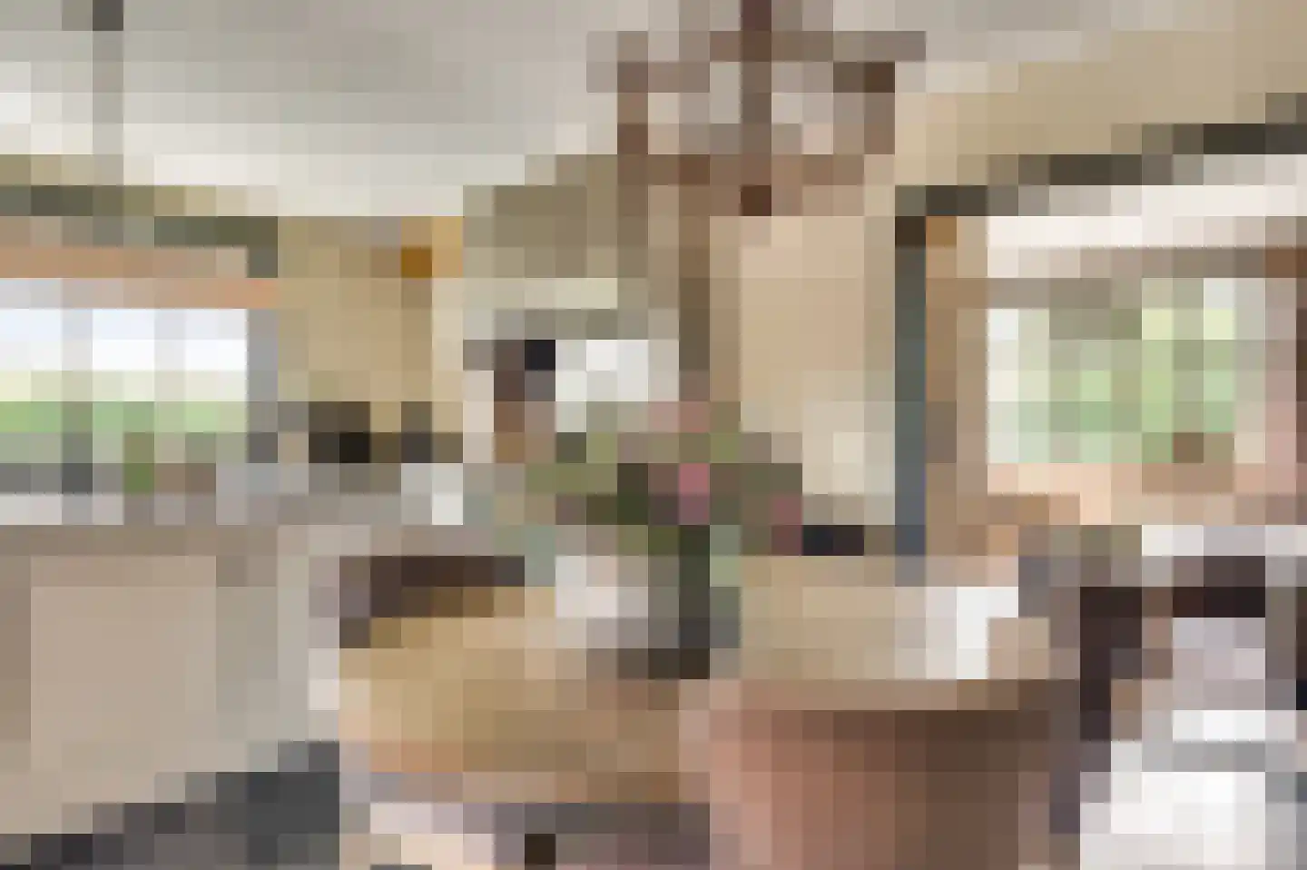 Koelebeemdweg 20 Weert thumbnail 6