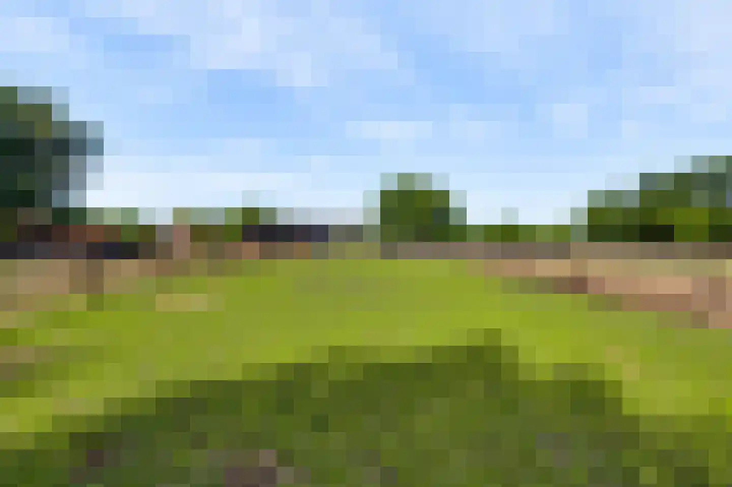 Koelebeemdweg 20 Weert thumbnail 60