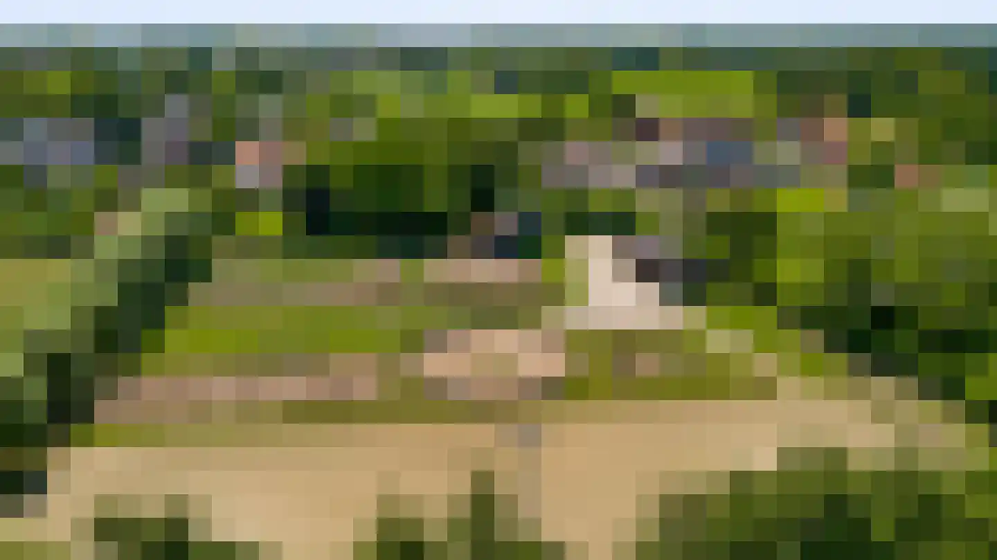 Koelebeemdweg 20 Weert thumbnail 61