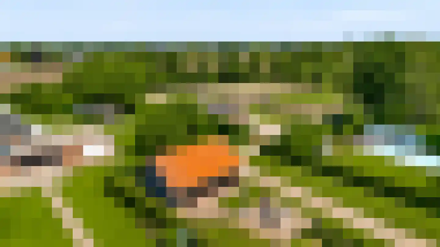 Koelebeemdweg 20 Weert thumbnail 62