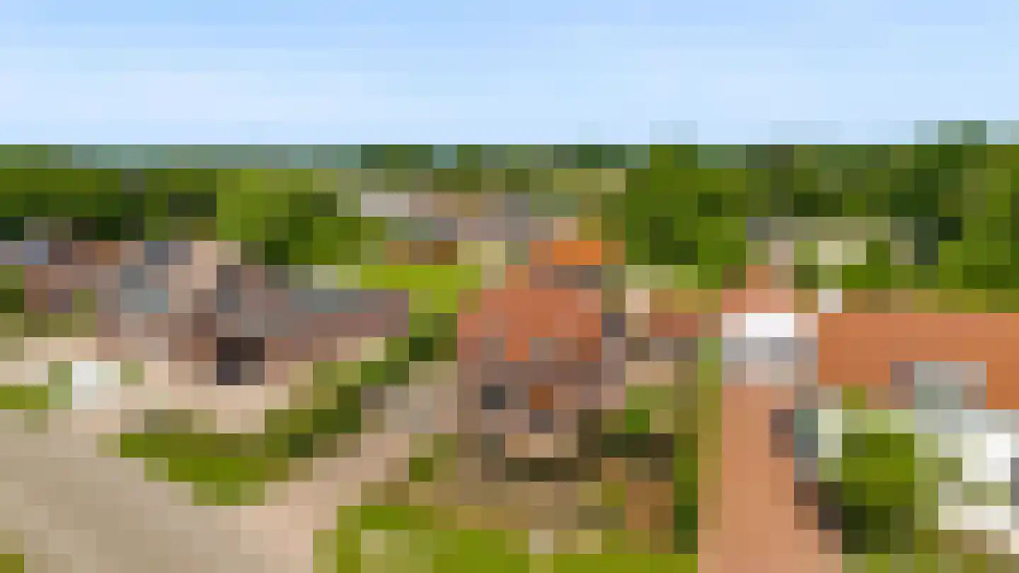 Koelebeemdweg 20 Weert thumbnail 64