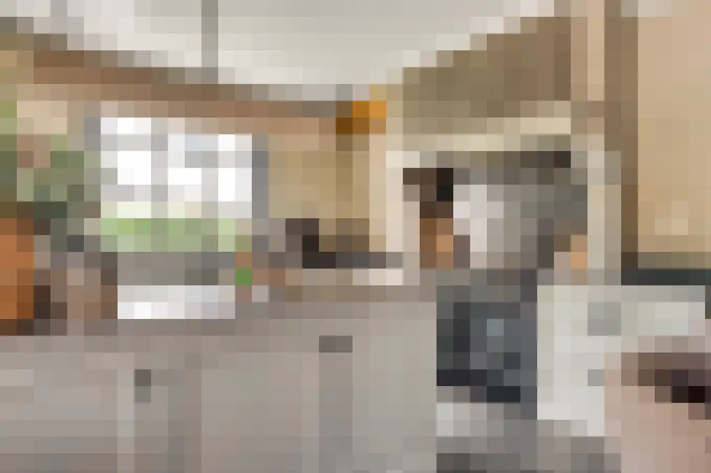 Koelebeemdweg 20 Weert thumbnail 7