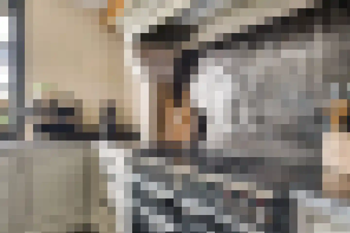 Koelebeemdweg 20 Weert thumbnail 8