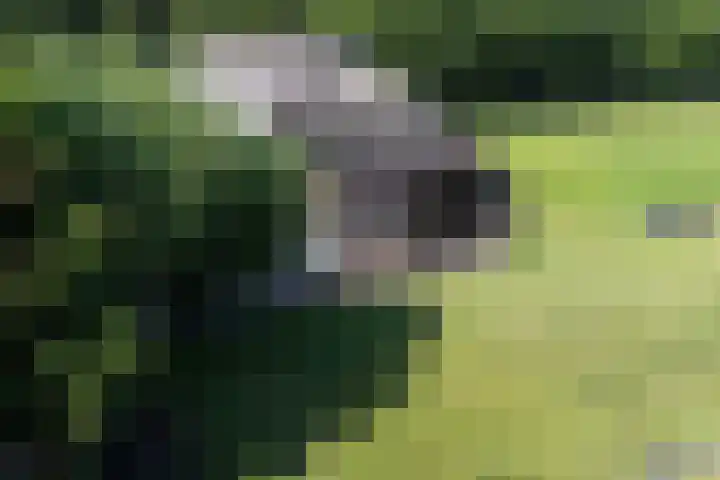Koelenweg 8 Huis ter Heide thumbnail 4