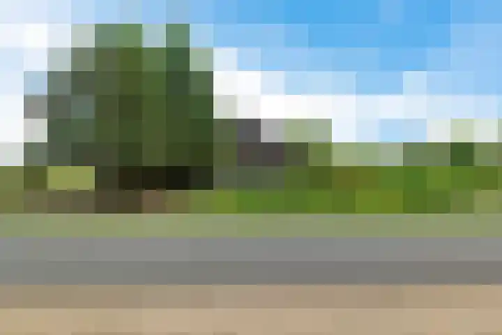 Koelenweg 8 Huis ter Heide thumbnail 7