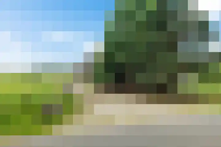 Koelenweg 8 Huis ter Heide thumbnail 8