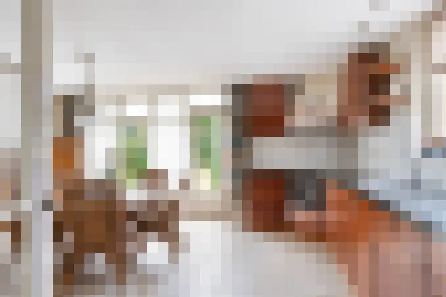 Koelertsweg 3 Markelo thumbnail 21