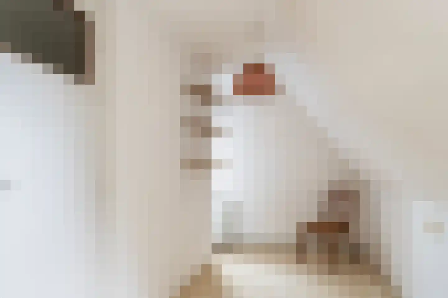 Koelertsweg 3 Markelo thumbnail 26