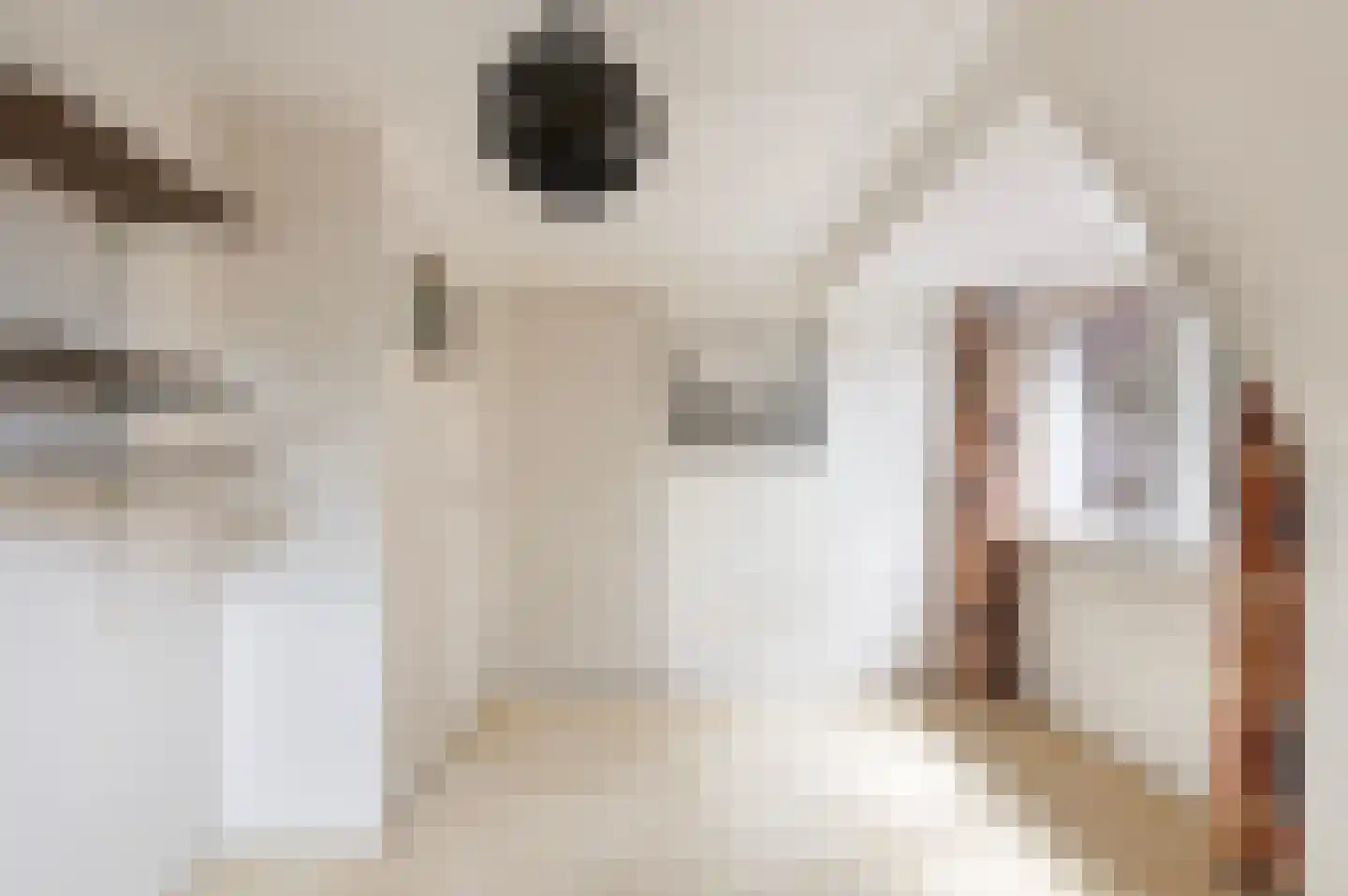 Koelertsweg 3 Markelo thumbnail 30