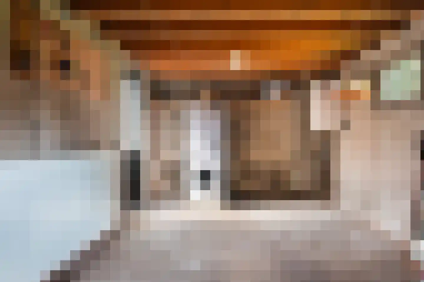 Koelertsweg 3 Markelo thumbnail 35