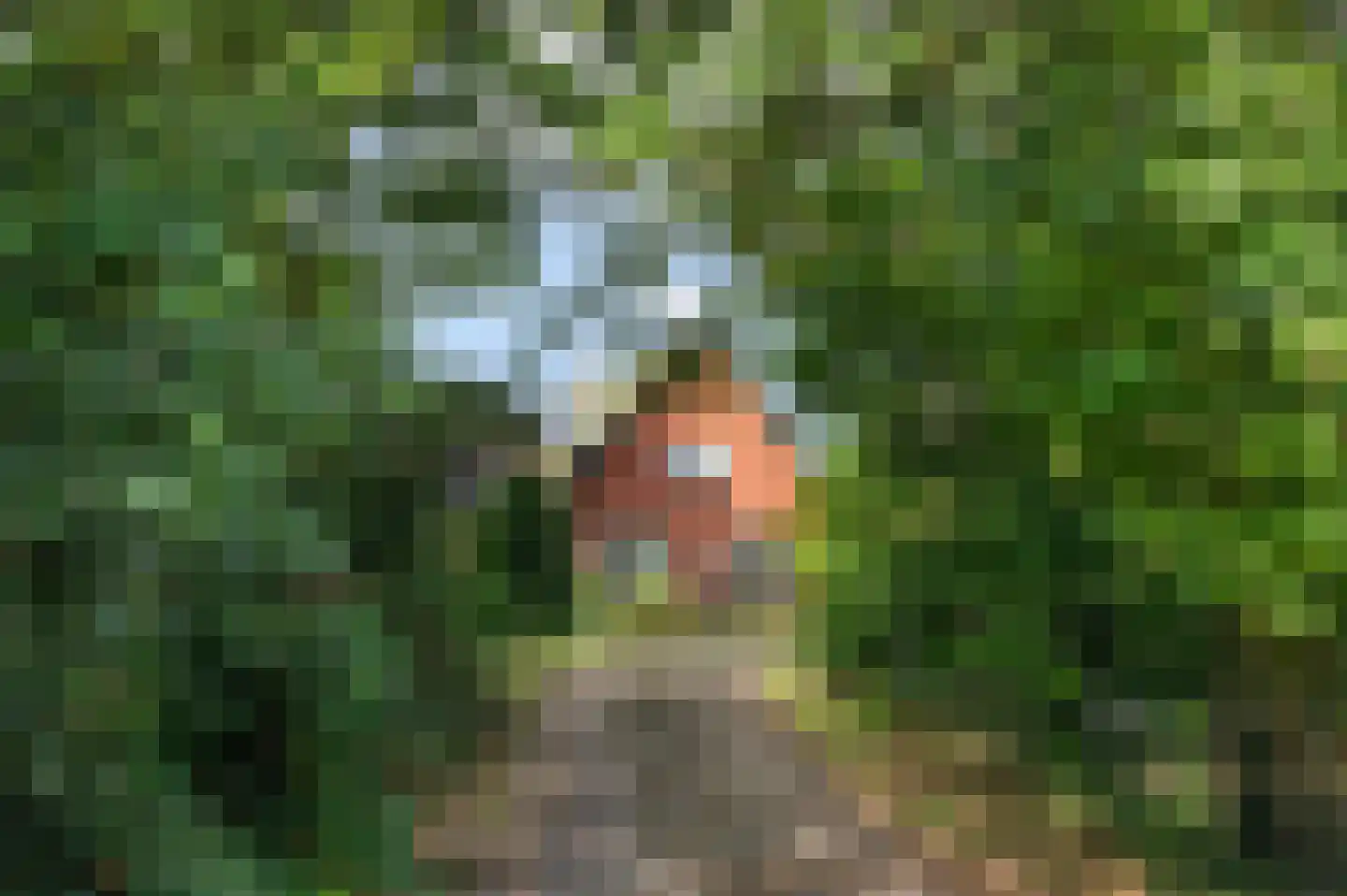 Koelertsweg 3 Markelo thumbnail 36