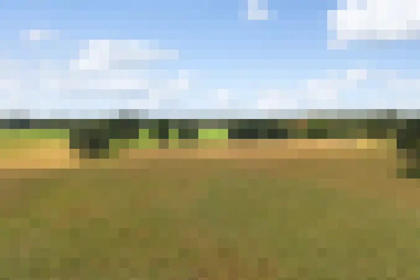 Koelertsweg 3 Markelo thumbnail 37