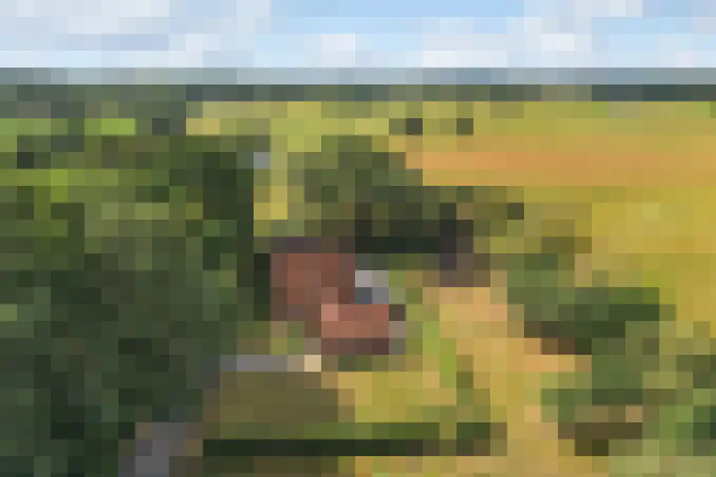 Koelertsweg 3 Markelo thumbnail 38