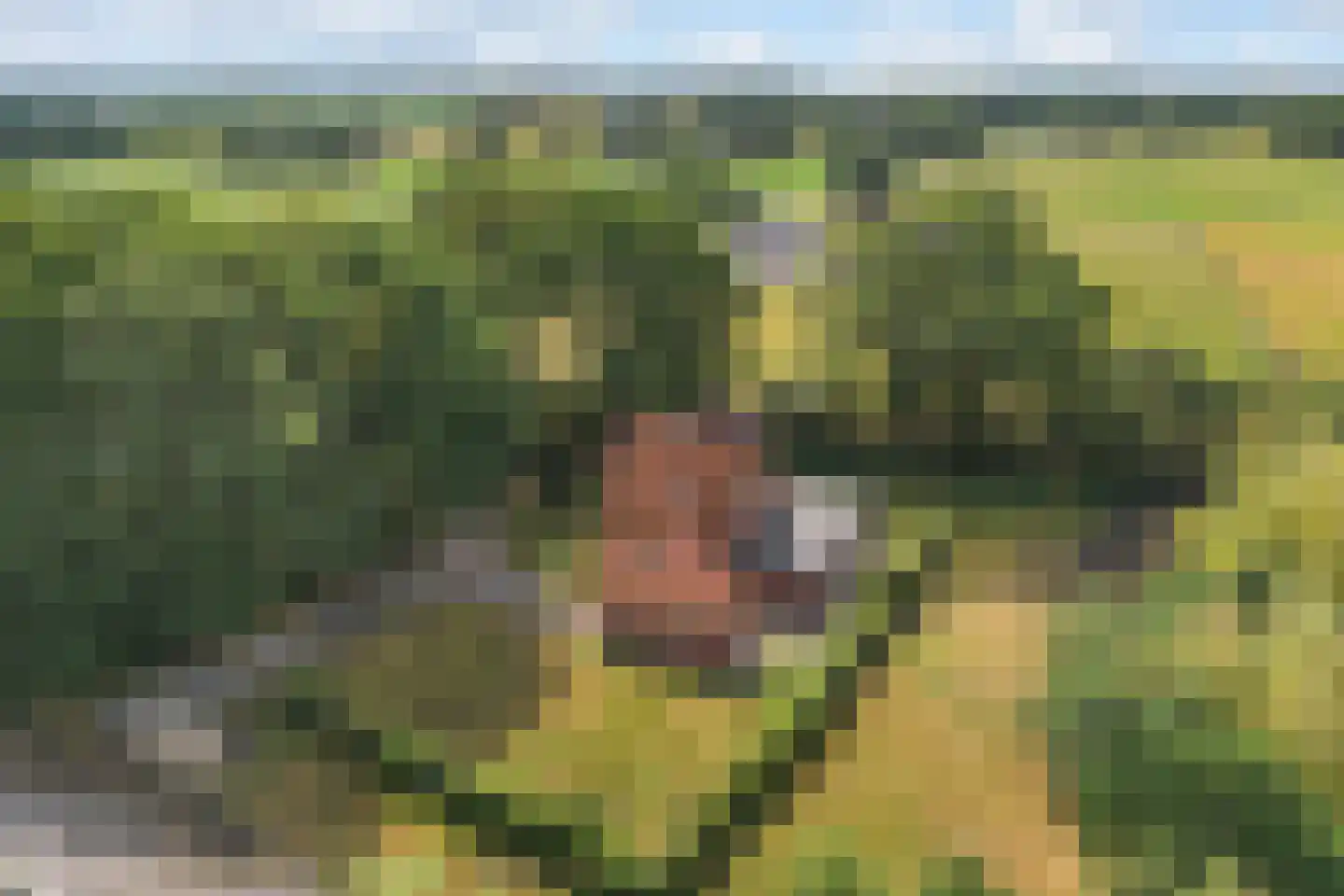 Koelertsweg 3 Markelo thumbnail 39