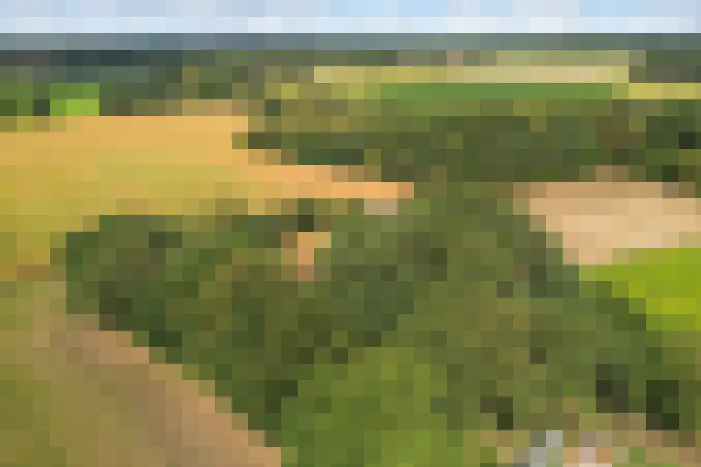Koelertsweg 3 Markelo thumbnail 40