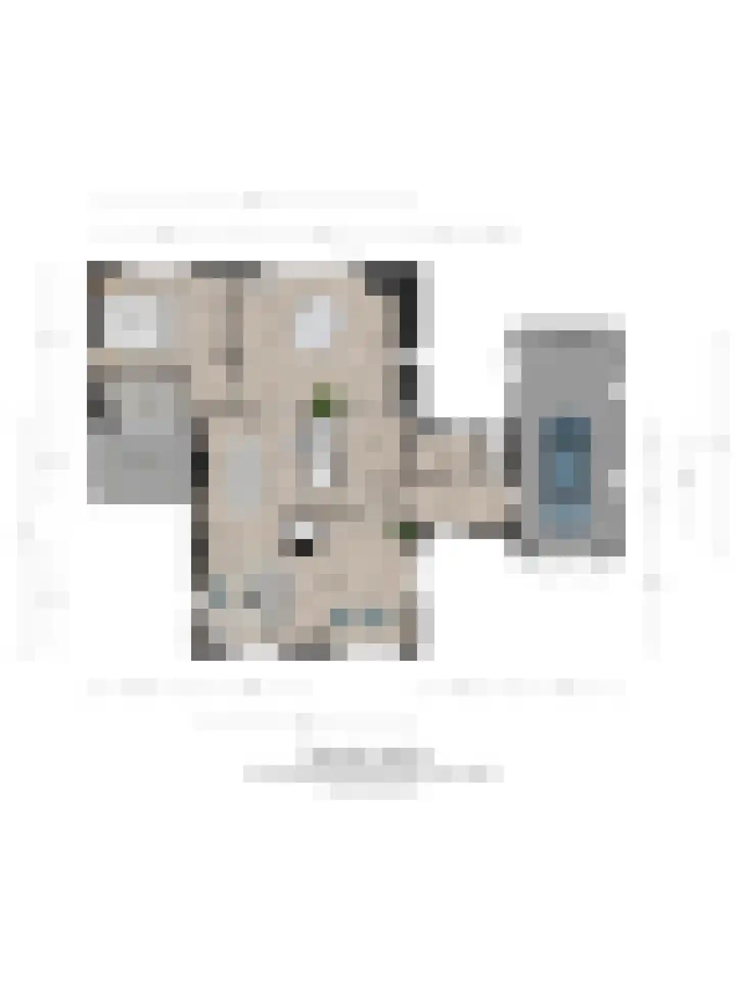Koelertsweg 3 Markelo thumbnail 41