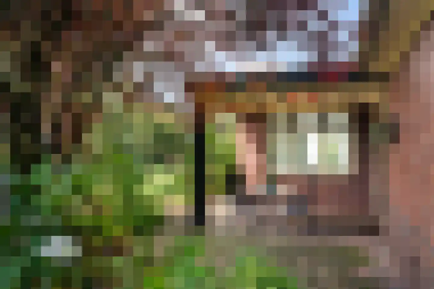 Koelertsweg 3 Markelo thumbnail 5