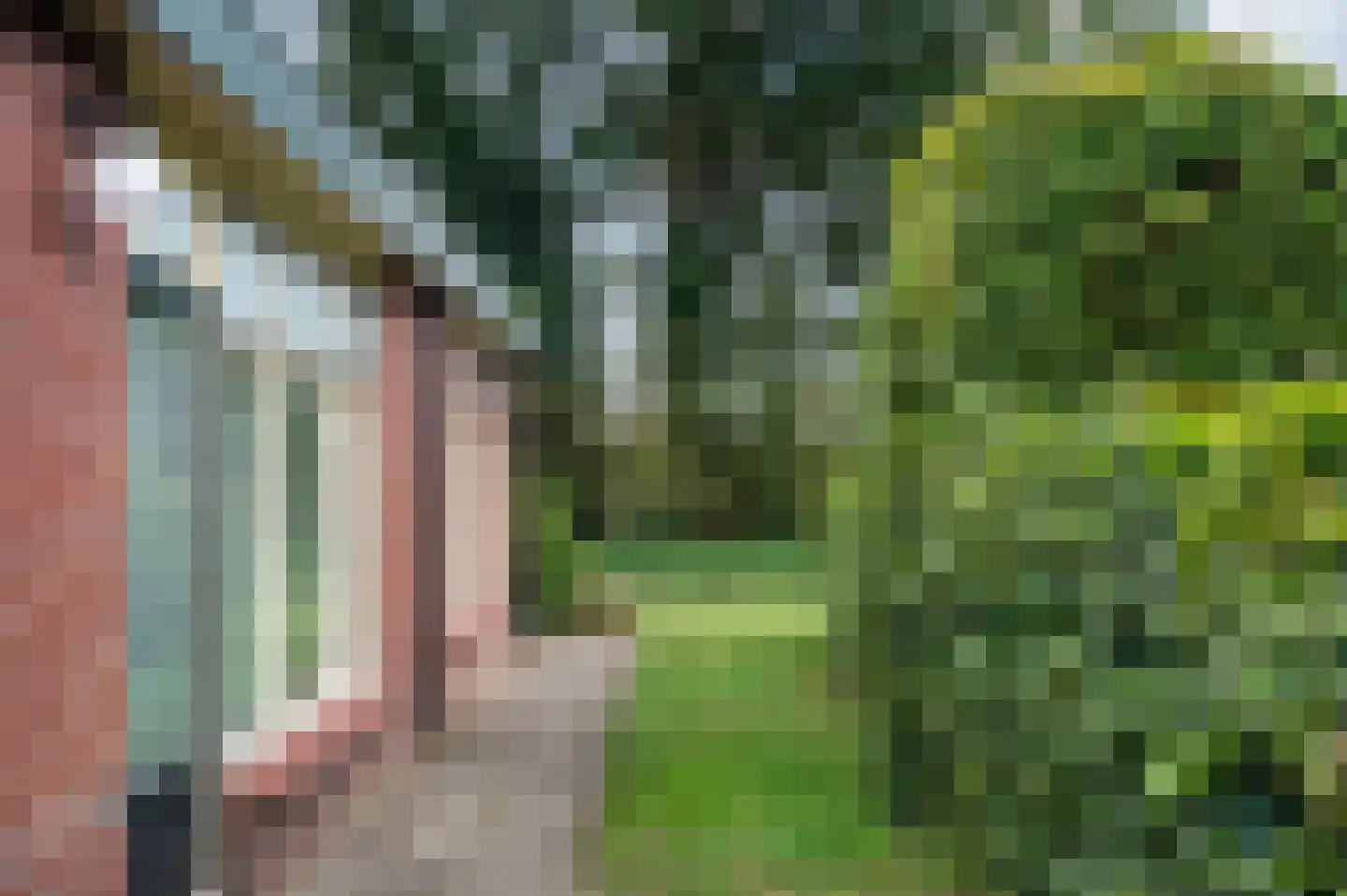 Koelertsweg 3 Markelo thumbnail 7
