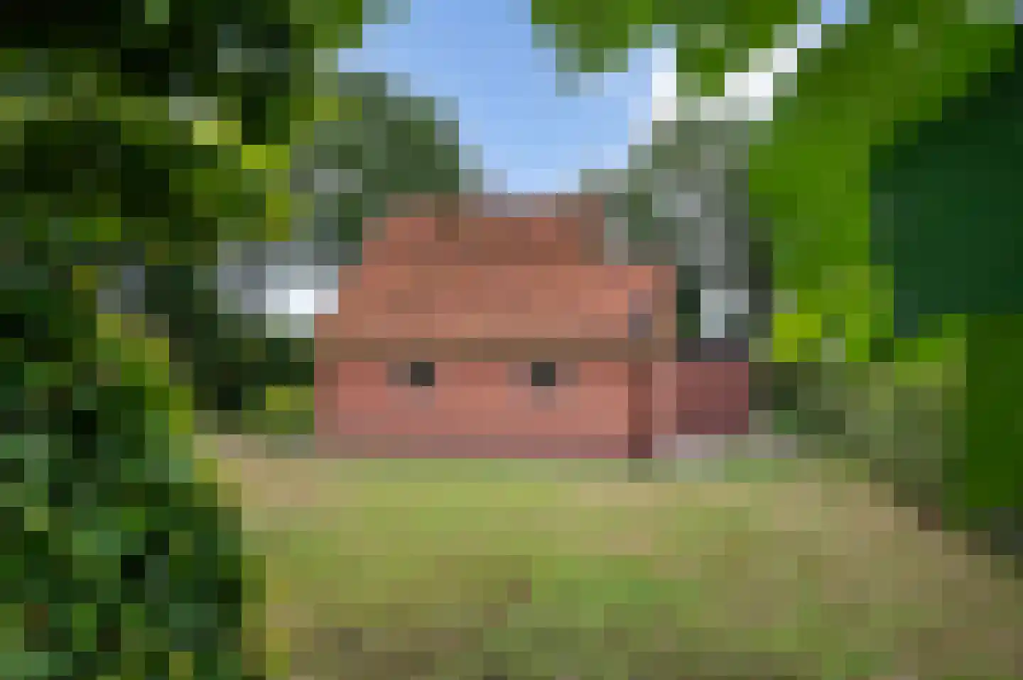 Koelertsweg 3 Markelo thumbnail 8