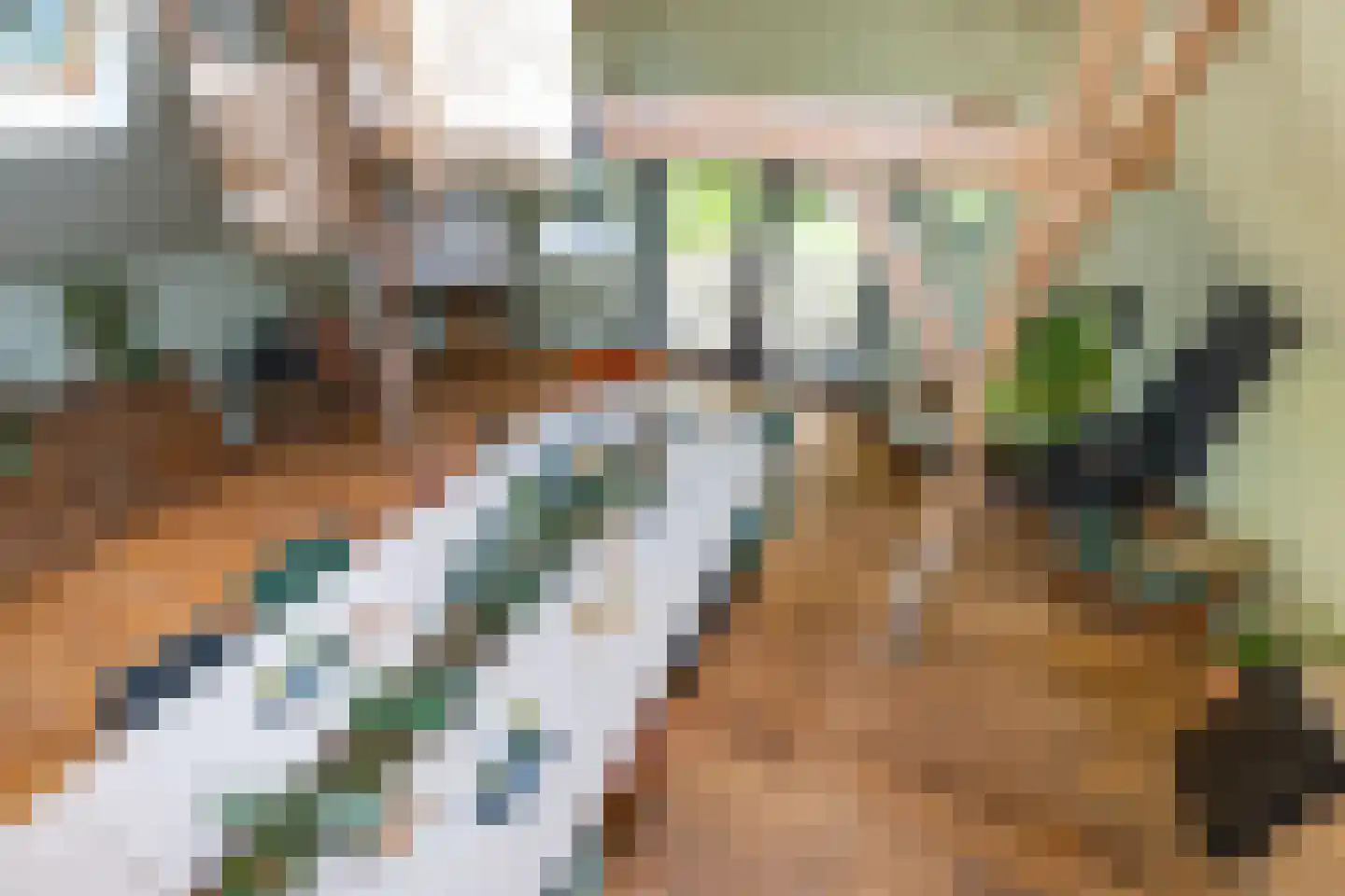 Koelerweg 11 Harfsen thumbnail 27