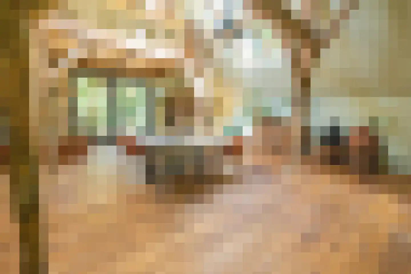 Koelerweg 11 Harfsen thumbnail 29