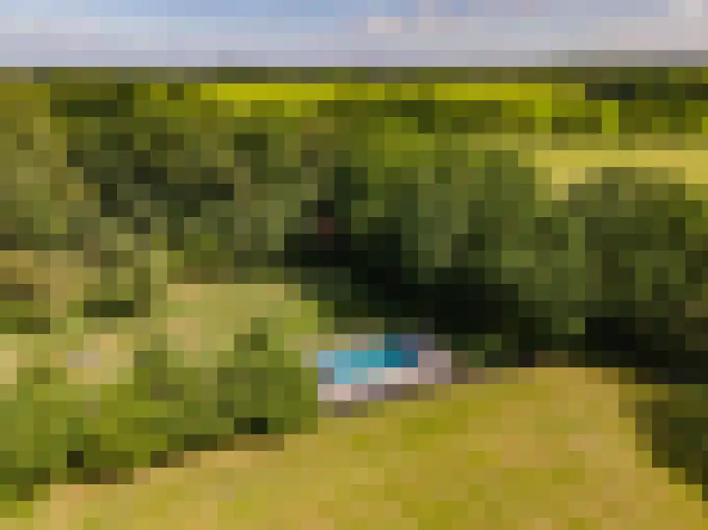 Koelerweg 11 Harfsen foto 3