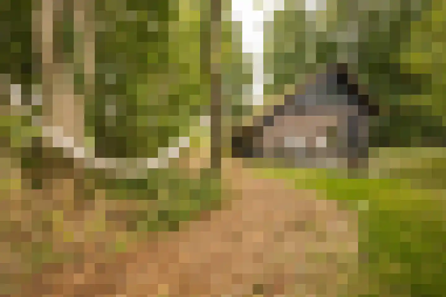 Koelerweg 11 Harfsen thumbnail 34