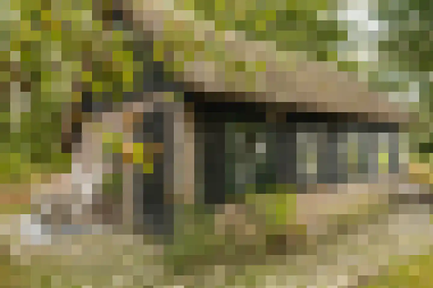 Koelerweg 11 Harfsen thumbnail 35