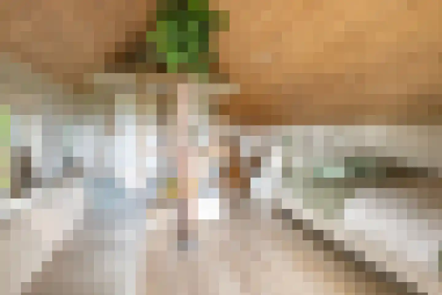 Koelerweg 11 Harfsen thumbnail 37