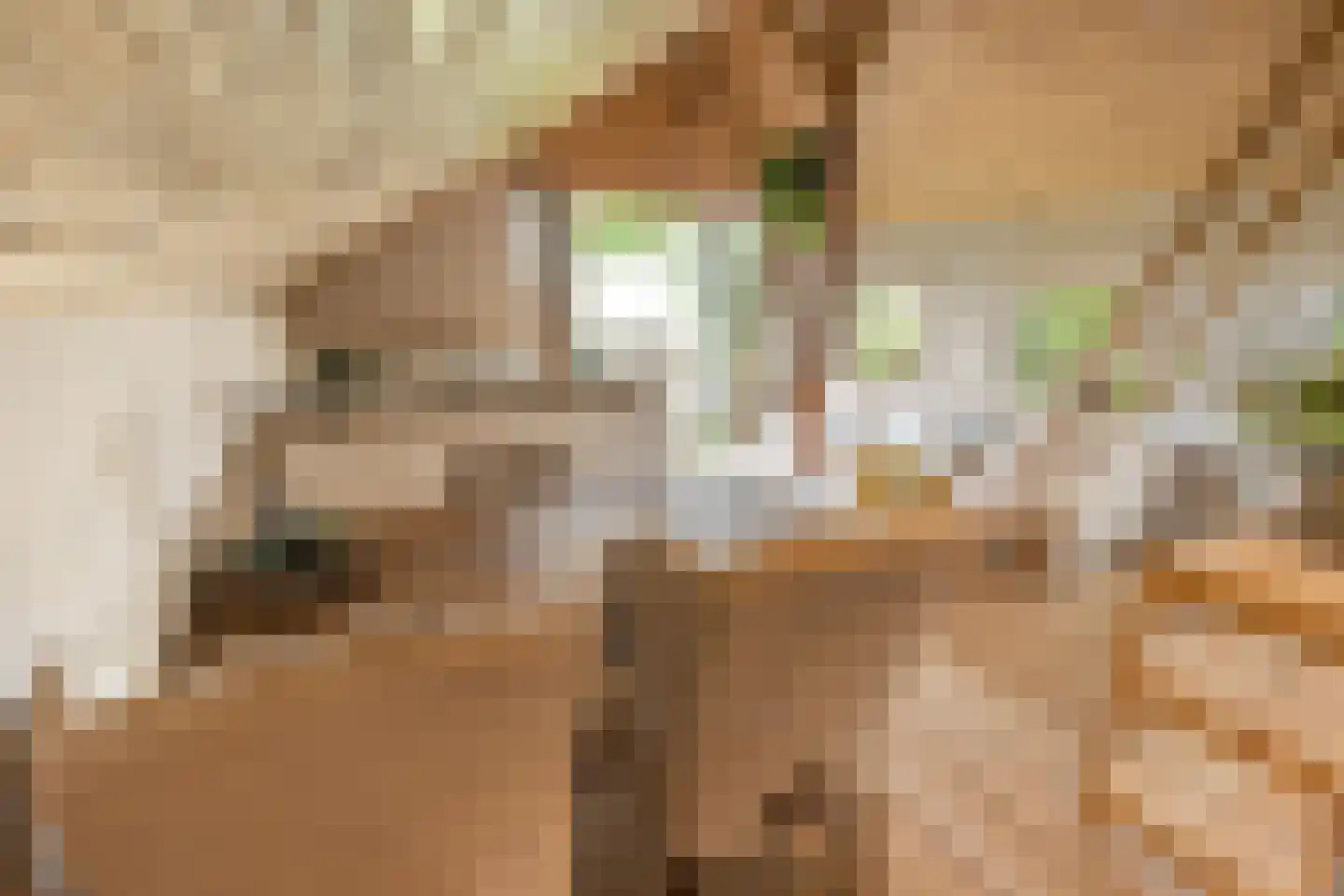 Koelerweg 11 Harfsen thumbnail 38
